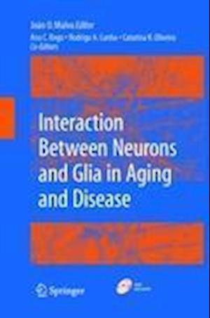 Interaction Between Neurons and Glia in Aging and Disease