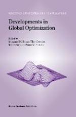 Developments in Global Optimization