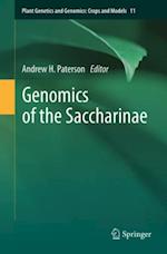 Genomics of the Saccharinae