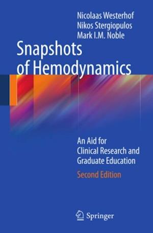 Snapshots of Hemodynamics