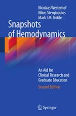 Snapshots of Hemodynamics