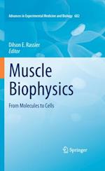 Muscle Biophysics