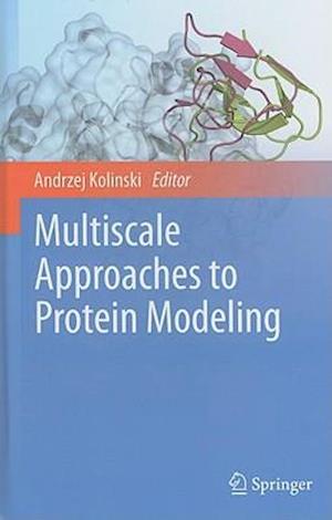 Multiscale Approaches to Protein Modeling