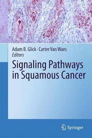 Signaling Pathways in Squamous Cancer