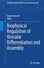 Biophysical Regulation of Vascular Differentiation and Assembly