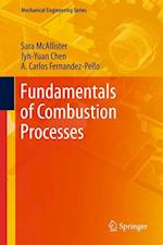Fundamentals of Combustion Processes