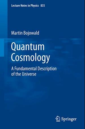 Quantum Cosmology