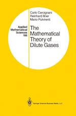 Mathematical Theory of Dilute Gases