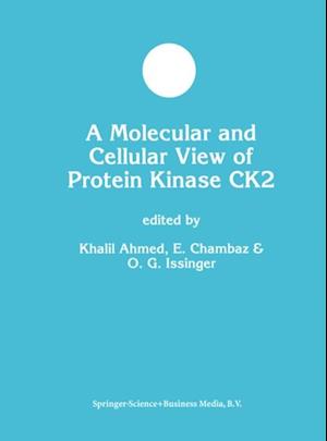 Molecular and Cellular View of Protein Kinase CK2