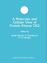 Molecular and Cellular View of Protein Kinase CK2