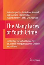 Many Faces of Youth Crime