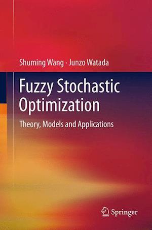 Fuzzy Stochastic Optimization