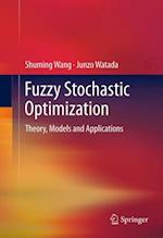 Fuzzy Stochastic Optimization