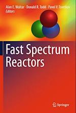 Fast Spectrum Reactors