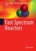 Fast Spectrum Reactors