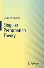 Singular Perturbation Theory