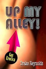 Up My Alley! Gay Erotica