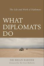 What Diplomats Do