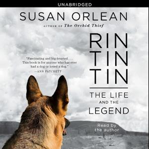 Rin Tin Tin