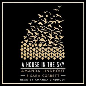 House in the Sky