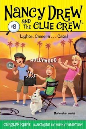 Lights, Camera . . . Cats!