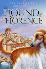 Hound of Florence