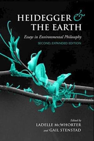 Heidegger and the Earth