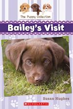 Puppy Collection #1: Bailey's Visit