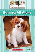 Puppy Collection #8: Nutmeg All Alone