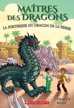 Maîtres Des Dragons