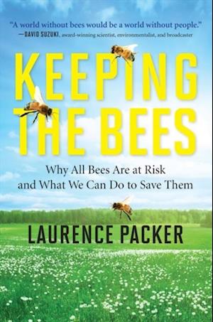 Keeping The Bees