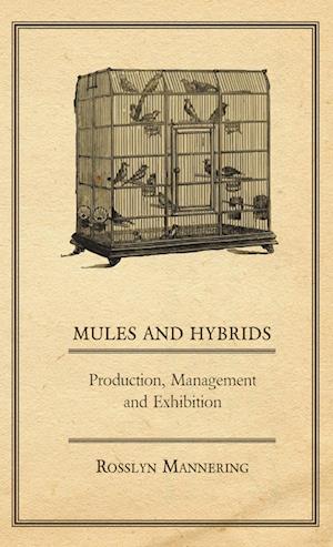 Mules and Hybrids - Production, Management and Exhibition