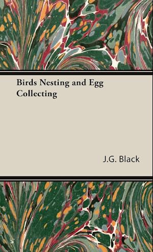 Birds Nesting and Egg Collecting