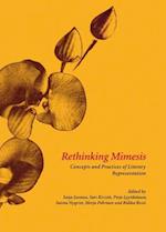 Rethinking Mimesis