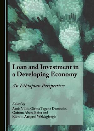 Loan and Investment in a Developing Economy