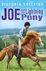 Joe and the Lightning Pony