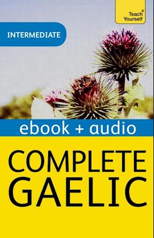 Complete Gaelic Beginner to Intermediate Book and Audio Course