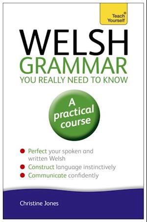 Welsh Grammar You Really Need to Know: Teach Yourself