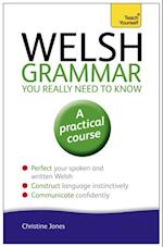 Welsh Grammar You Really Need to Know: Teach Yourself