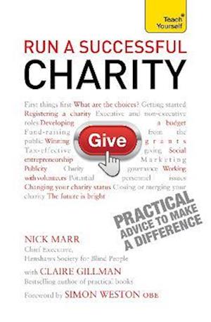 Run a Successful Charity: Teach Yourself