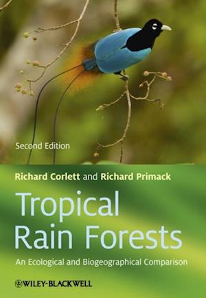 Tropical Rain Forests