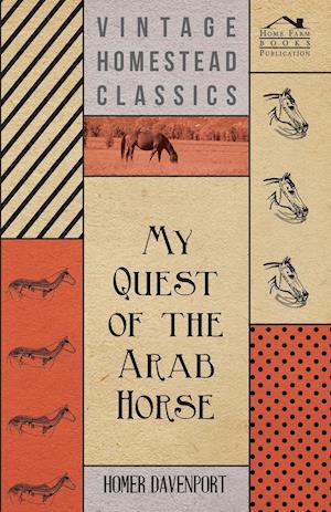 My Quest of the Arab Horse