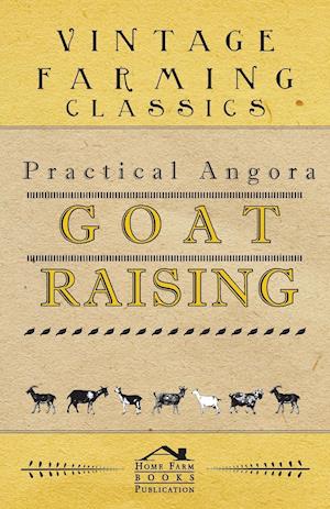 Practical Angora Goat Raising