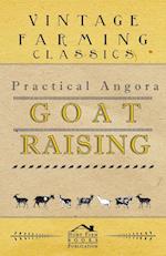 Practical Angora Goat Raising