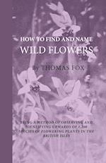How To Find And Name Wild Flowers - Being A New Method Of Observing And Identifying Upwards Of 1,200 Species Of Flowering Plants In The British Isles