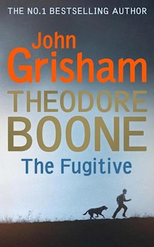 Theodore Boone: The Fugitive