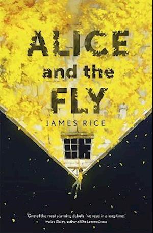 Alice and the Fly