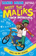 Meet the Maliks: Meet the Maliks Book 2