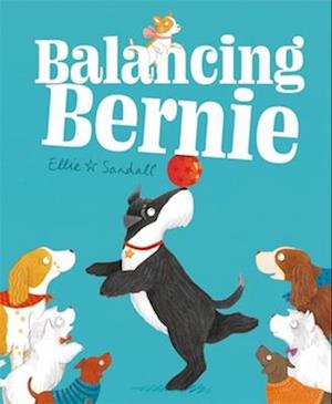 Balancing Bernie