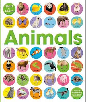 Start To Learn: Animals